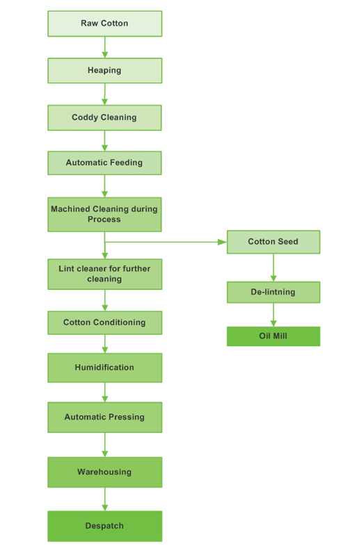 Process Flow Chart